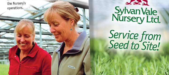 Print Design at Beal Design