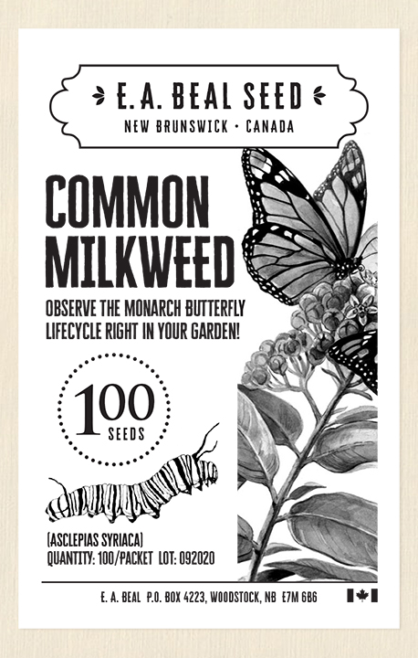 shop new brunswick for milkweed monarch butterfly food